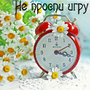 Подарок #1853