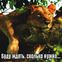 Подарок #1857