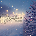 Подарок #2008