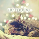 Подарок #2012