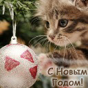 Подарок #2019