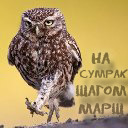 Подарок #2088