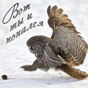 Подарок #2090