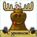 Подарок #2115