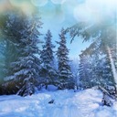 Подарок #2201