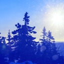 Подарок #2202