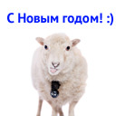 Подарок #2247