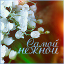 Подарок #2309