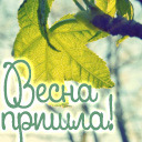 Подарок #2320