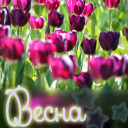 Подарок #2329