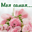 Подарок #2361