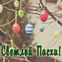 Подарок #2483