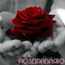Подарок #2535