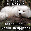 Подарок #255