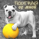 Подарок #2562