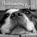 Подарок #2564