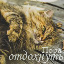 Подарок #2565