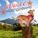 Подарок #2587