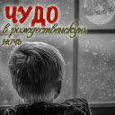 Подарок #2760