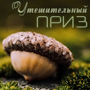 Подарок #3018