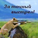Подарок #302