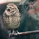 Подарок #3021