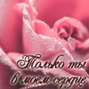 Подарок #3065