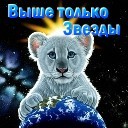 Подарок #308