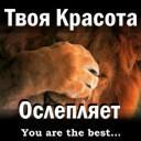 Подарок #310