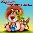 Подарок #311