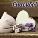 Подарок #3125