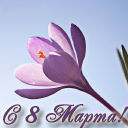 Подарок #3215