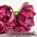 Подарок #3220