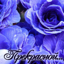 Подарок #3231