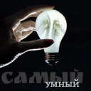 Подарок #3313