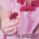 Подарок #3481