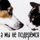 Подарок #3603