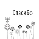 Подарок #3648