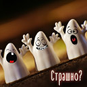 Подарок #3658