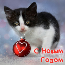Подарок #3683
