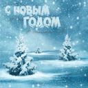 Подарок #3721