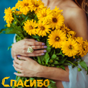 Подарок #3929