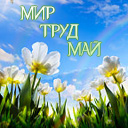 Подарок #3972