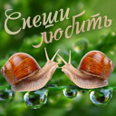 Подарок #4023