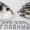 Подарок #4050