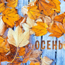 Подарок #4094