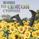Подарок #4199