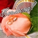 Подарок #428