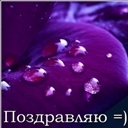 Подарок #429
