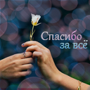 Подарок #4408
